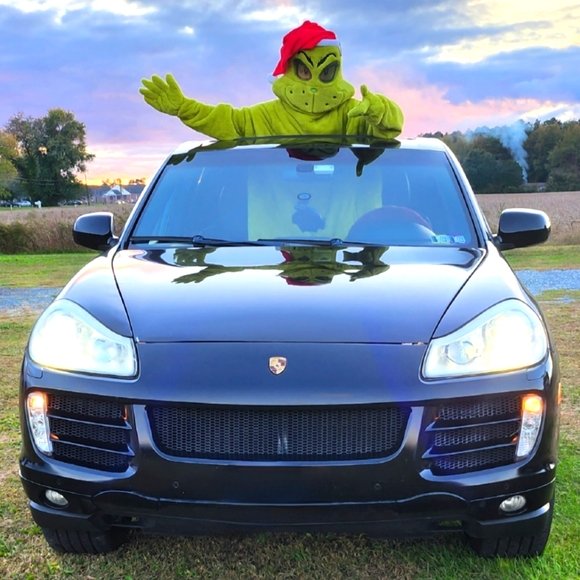 The Grinch Costume - Picture 5 of 12